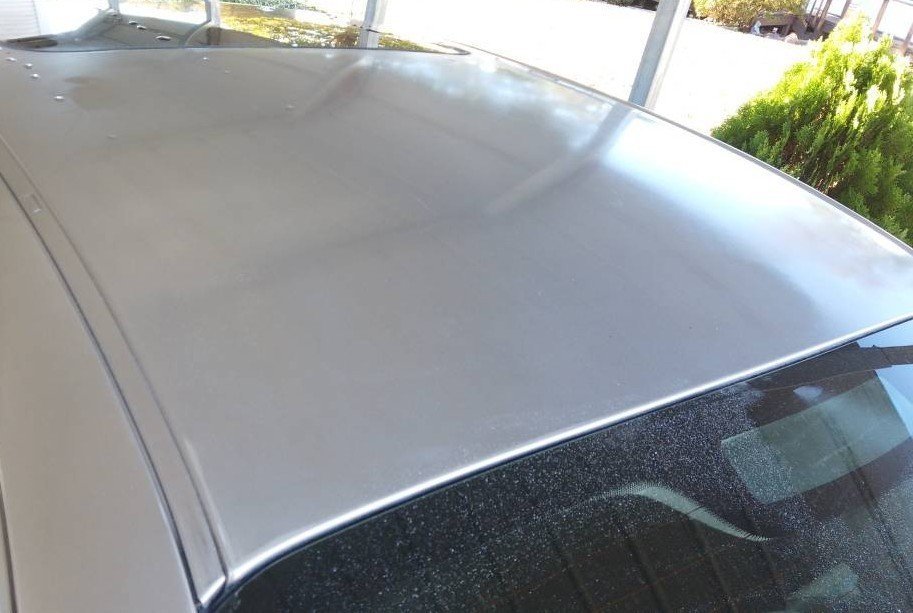 Glossy restored car roof after paint correction and protection